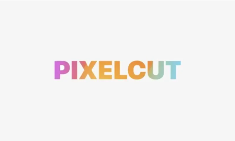 PixelCut is the best app for photo editing